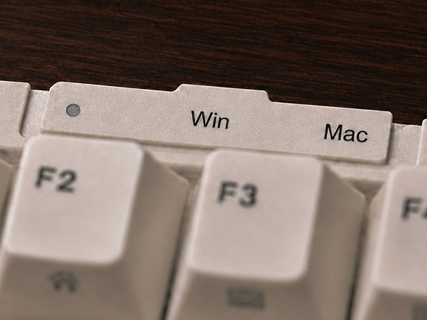 Win / Mac Switch