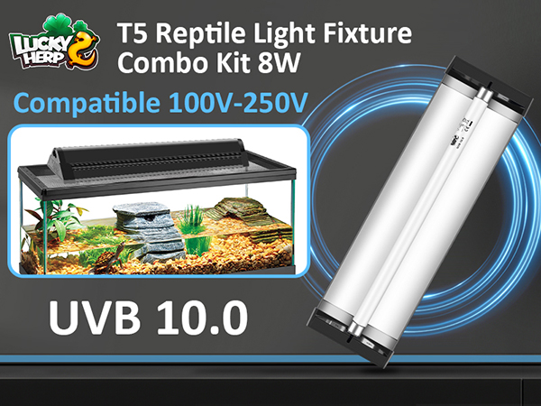 reptile light fixture