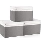 Bagnizer Large 17