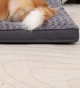 dog crate bed