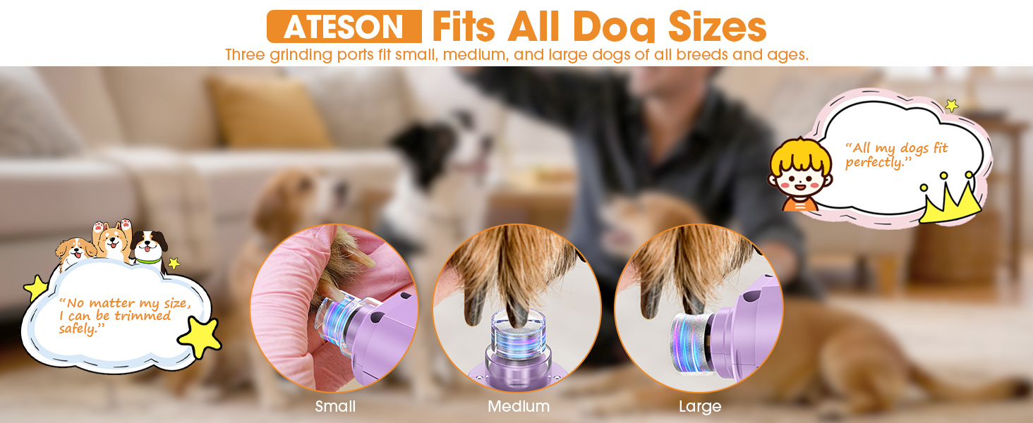 dog nail trimmer