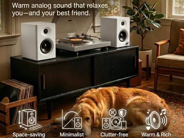 bookshelf speakers for record player