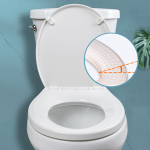 toilet seat
