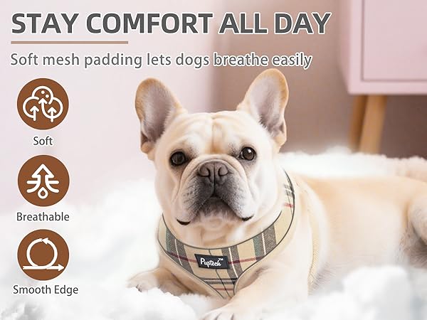 dog harness