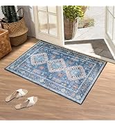 CWK Washable 2x3 Area Rugs,Non-Slip Floor Carpet,Non-Shedding Floor Mat,Low Pile Doormat Soft Vin...