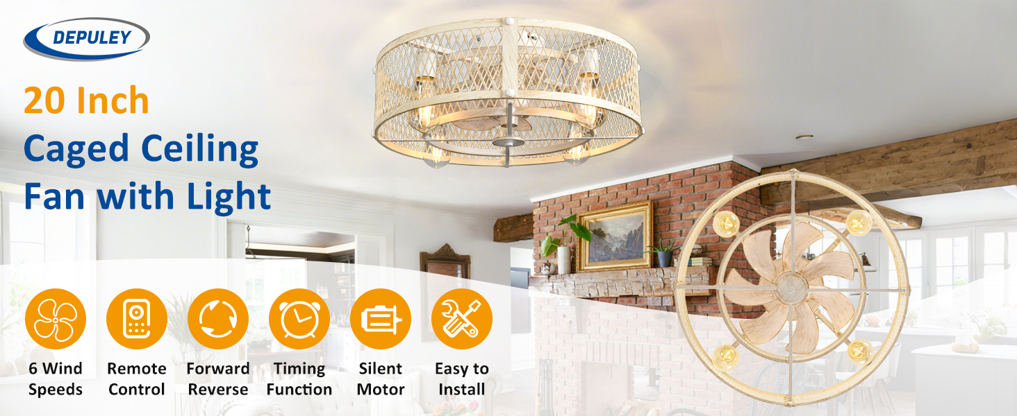 Caged ceiling fan with light