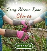 Woman gloves
