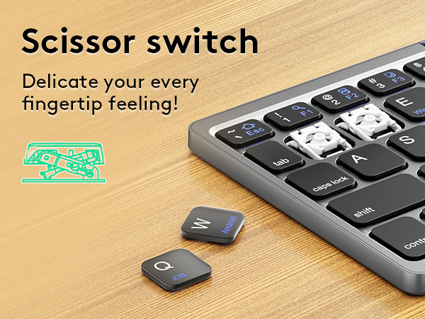 Scissor Switch