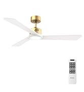 ceiling fan with light