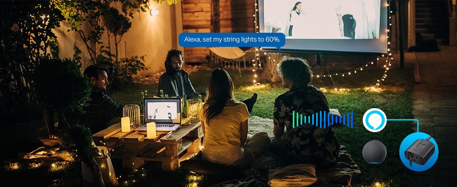 Voice Control
