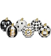 DAZONGE Halloween Decorations Indoor - Set of 6 Ceramic Halloween Pumpkin Decor - Assorted Black ...