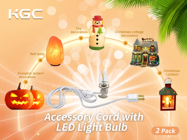 C7 Accessory Cord with 2 C7 Led Light Bulb