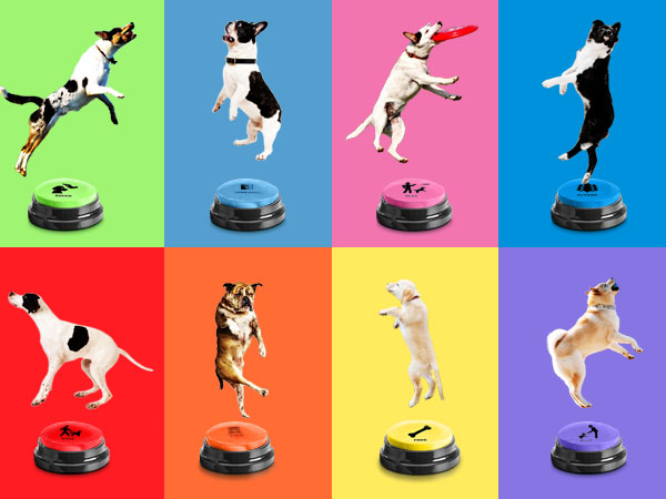 Dog speaking buttons