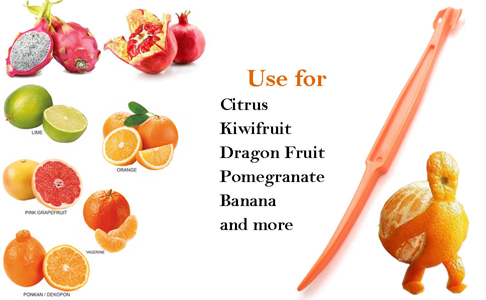 Citrus Peeler
