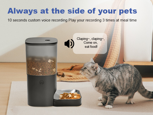 automatic cat feeder with voice call