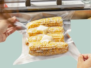 vacuum seal bags sealer chamber small cutter machine pouch filling pack containers kitchen precut