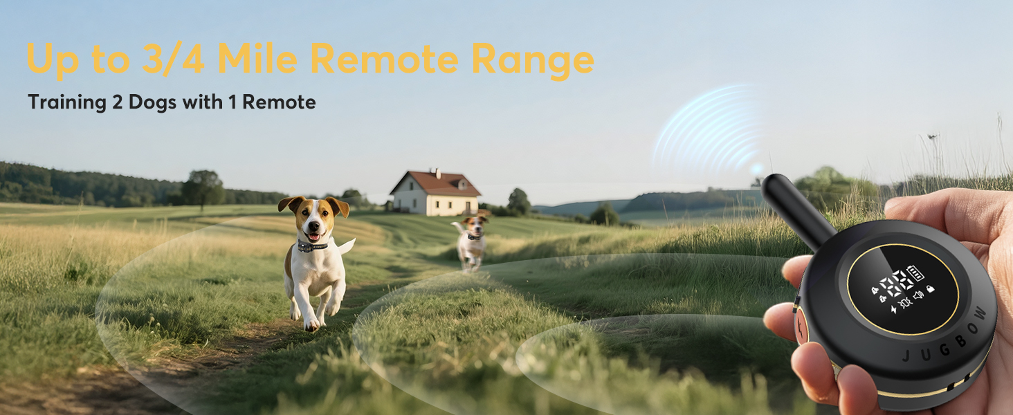 dog training collar with remote