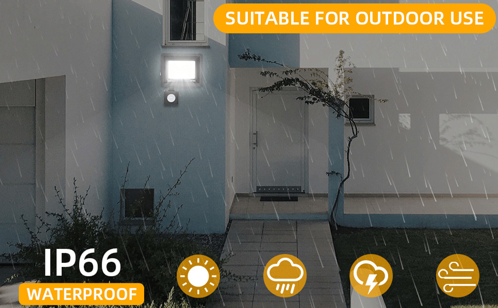 50W Flood Light