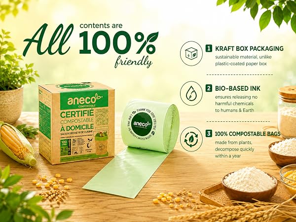 aneco