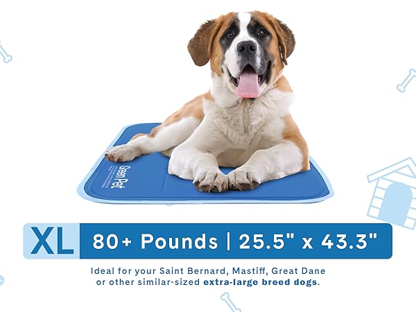 cool pet pad