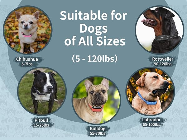 dog vibrate collar vibrating collar for dogs training vibrating collar for small dogs 5-15lbs