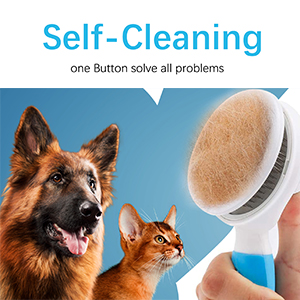 cat brushes