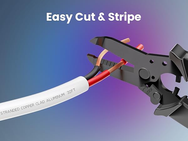 Speaker Wire