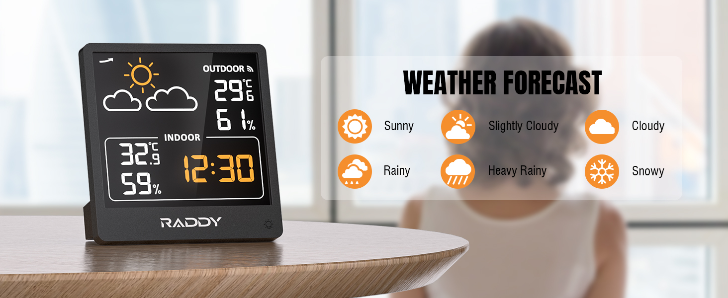 Raddy WF-50V Indoor Outdoor Thermometer Hygrometer