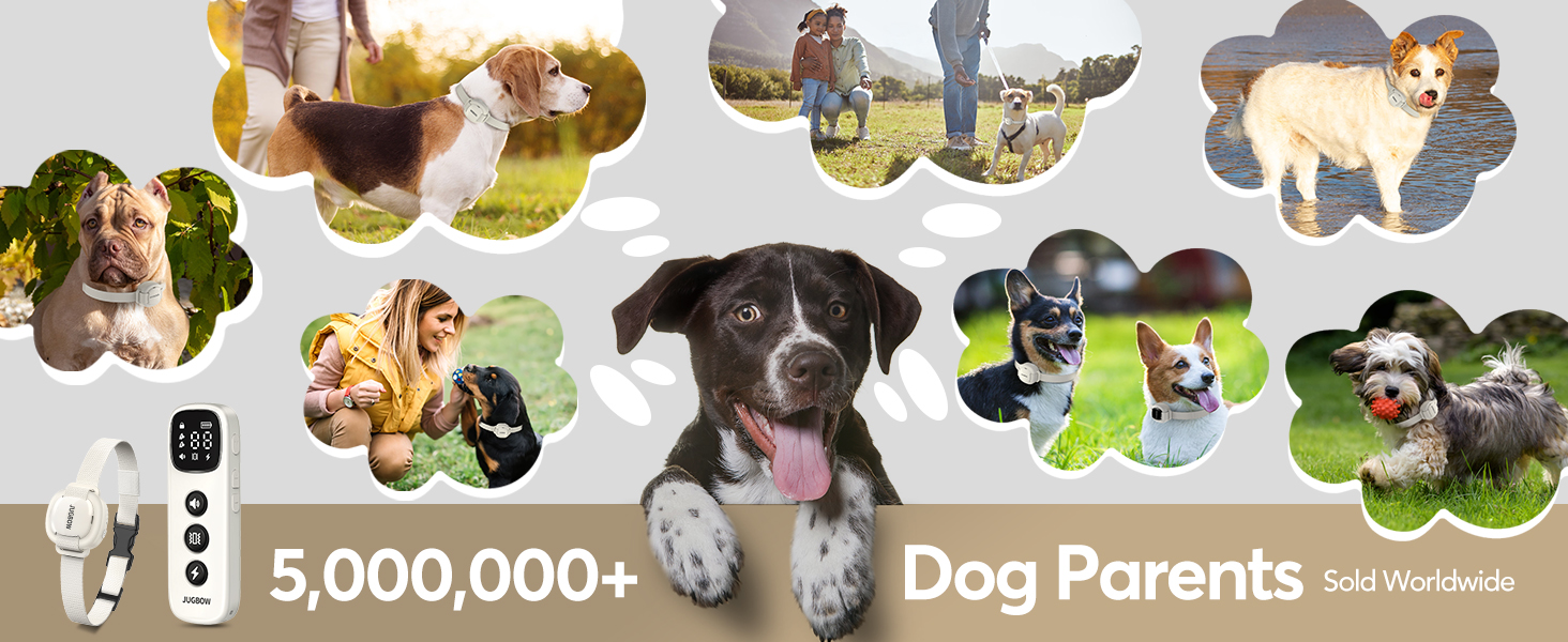 dog training collar
