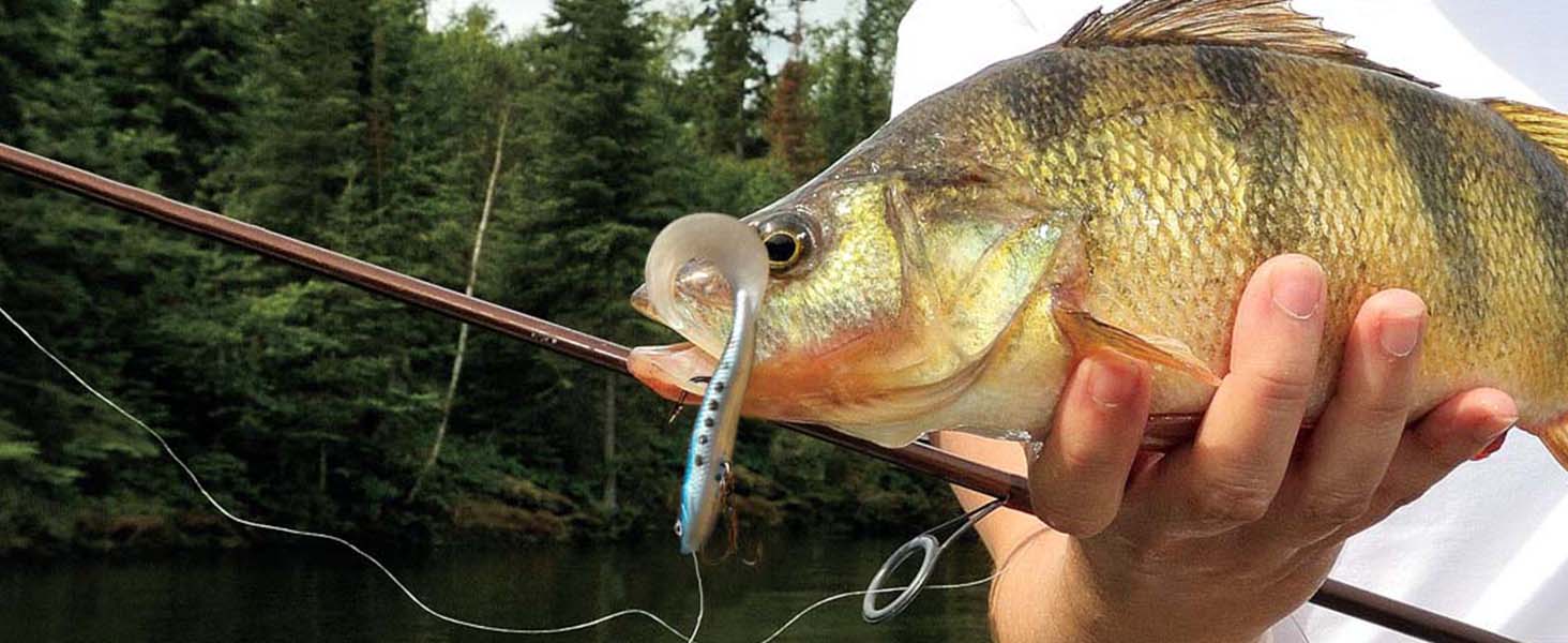 soft bait lure