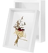 2Pack 4x6 Shadow Box Frame,HD Glass Wooden White Hollow Photo Frame,White Frames for Flower Press...