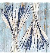 Dried Lavender & Wheat Flowers Bundle - 17'' Real Fresh Preserved Lavender Flowers and White Whea...