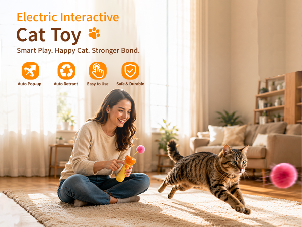 cat wand toy