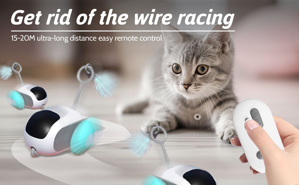 Remote Control Cat Toy