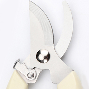 Sharp blade