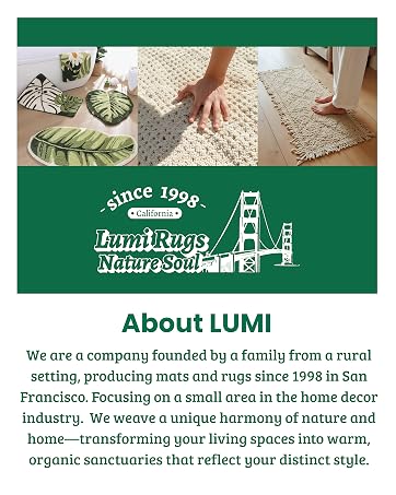 About LUMI