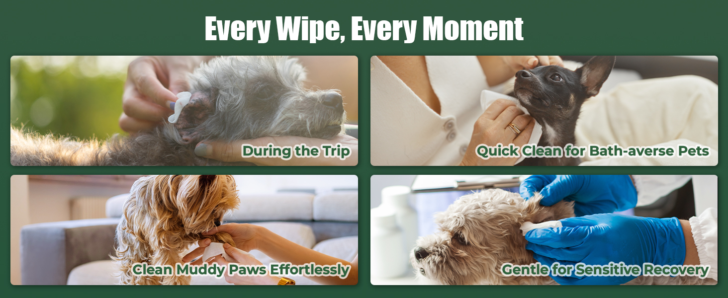 dog wipes cleaning