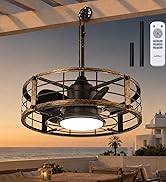 Ceiling fan