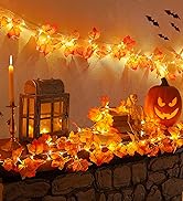 fall lights