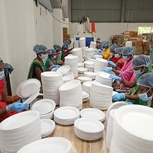 paper plates 9 10 disposable plastic chinet stackman dixie bamboo heavy duty eco bamboo friendly