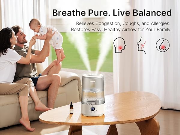 air humidifier