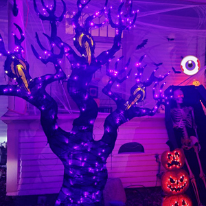 purple string lights