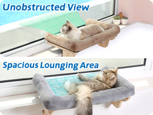 window perch
