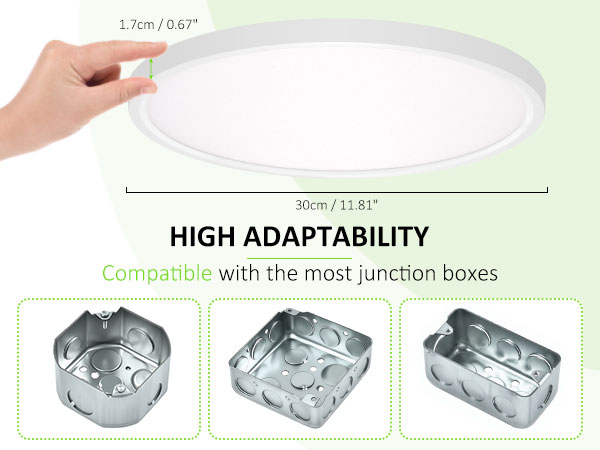 Ceiling Light