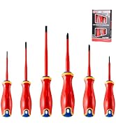 HAUTMEC Insulated Screwdriver Set, 6-Piece Electrician Screwdriver Set, VDE & GS Certified 1000V,...