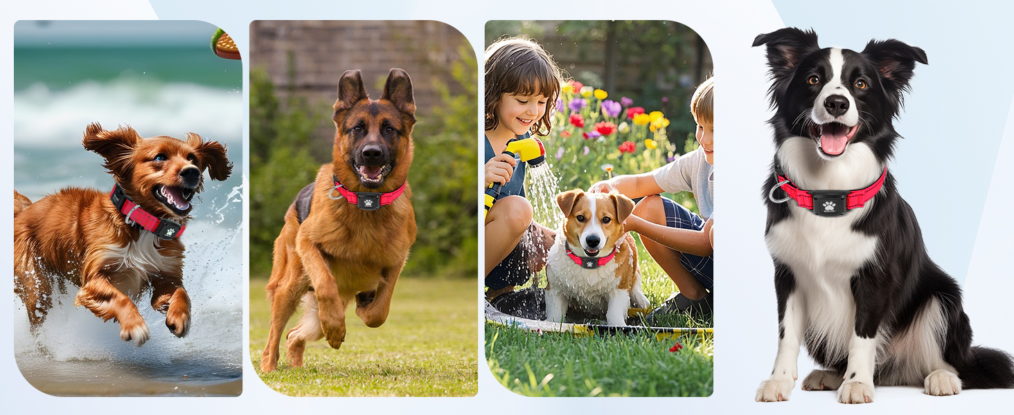 MYIWB Dog Tracking Collar for All Breeds, Waterproof, Durable, Multi-Scene Use