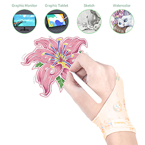 artist glove