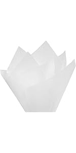 https://m.media-amazon.com/images/S/aplus-media-library-service-media/b2604b14-db14-4d66-a878-037bd5d30c2d.__AC_SR150,300___.jpg
