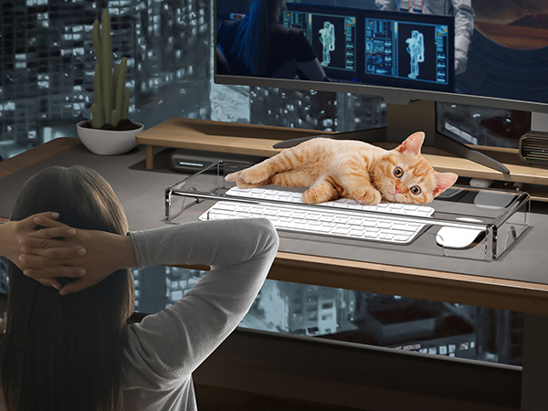 keyboard cover for cat