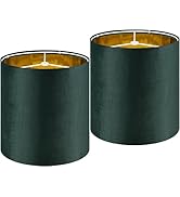Small Drum Lamp Shades 2 Pack, 10 * 10 * 10 Inch,Luxurious Green Velvet Lamp Shade fit with Spide...